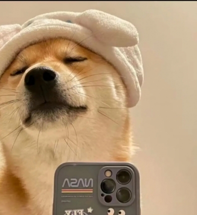 头像